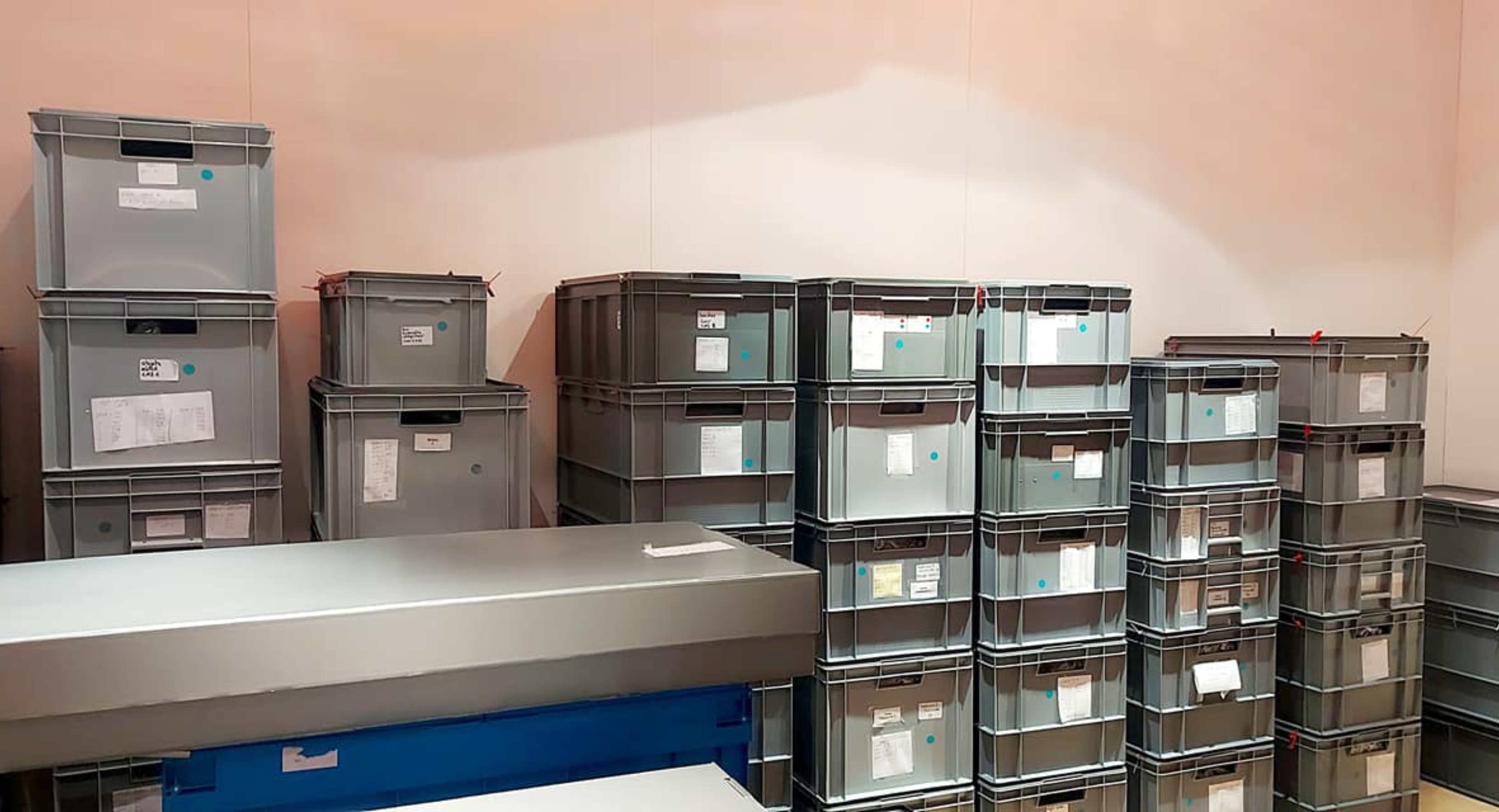 Caisses de conditionnement des collections