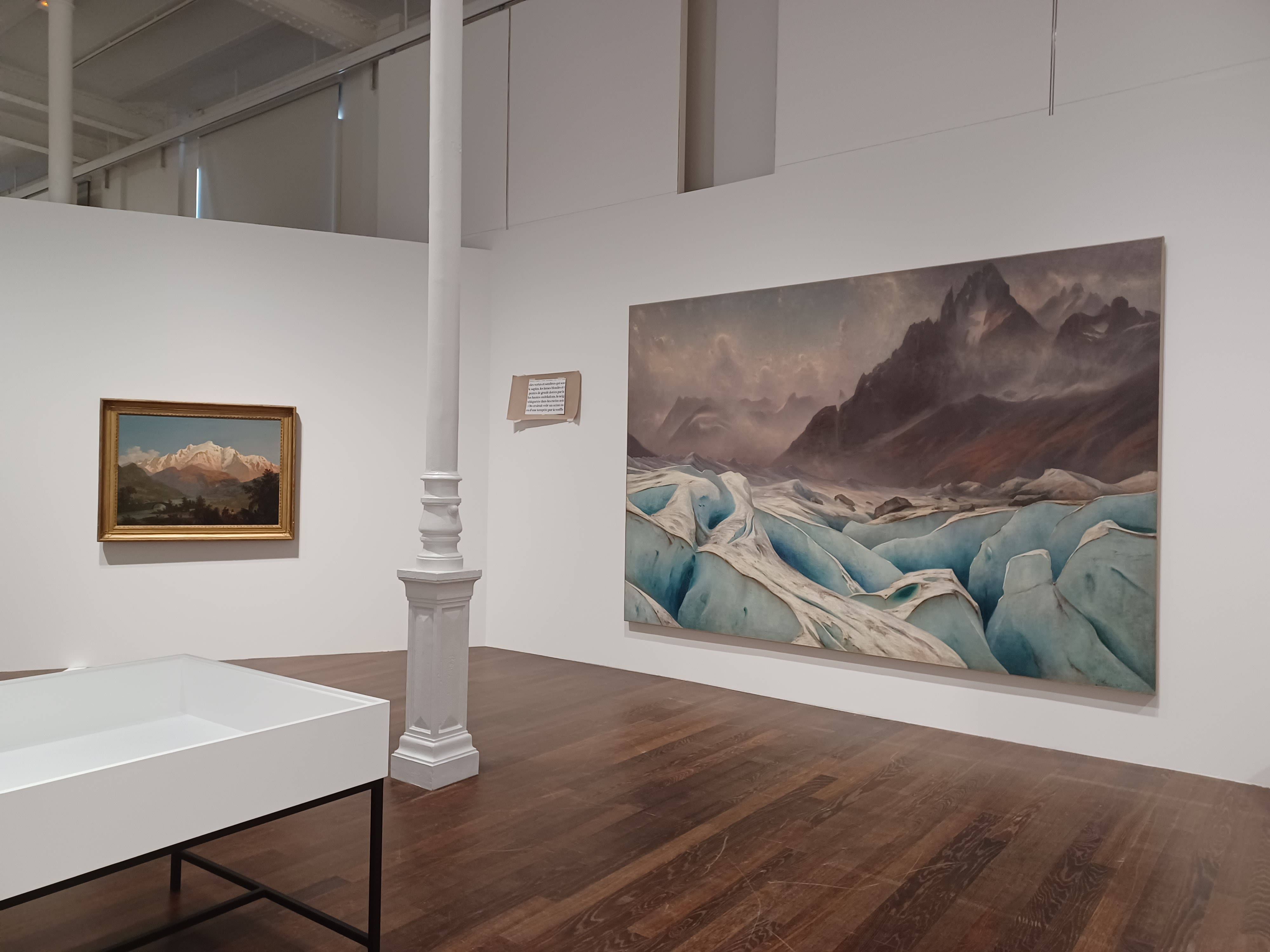 La Mer de Glace et les Grands Charmoz dans l'exposition du musée des Beaux-Arts de Chambéry